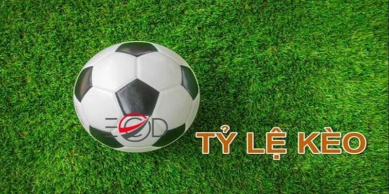 Giải mã định nghĩa tỷ lệ kèo G88 là gì?